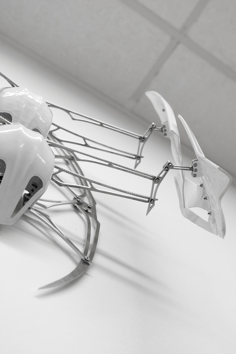 ConvexSHIELD Installation view
