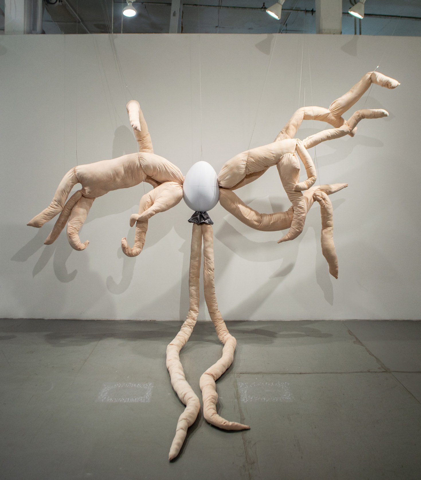 Pheroform – Elif Cadoux
